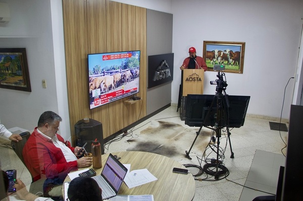 Hoy martes, Aosta Remates subasta más de 1.000 cabezas en un mercado expectante