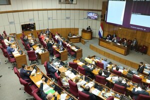 Senado posterga tratamiento de reforma de Caja Fiscal | Unicanal