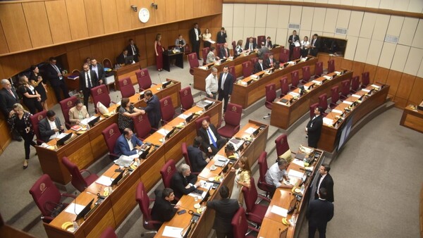 Masiva protesta de docentes obliga a postergar el estudio de la reforma de la Caja Fiscal en el Senado