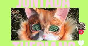 Diario HOY | Primera juntada Therian se hará en Encarnación