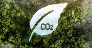 La Nación / Mercado de carbono: se concretaron créditos por más de USD 10 millones