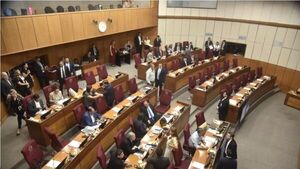 Senado aplaza hasta marzo el estudio de las reformas de la Caja Fiscal y la Caja Parlamentaria - Concepción al Día