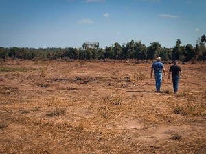 MADES interviene inmueble tras constatar tala indiscriminada en Santa Rita - ADN Digital