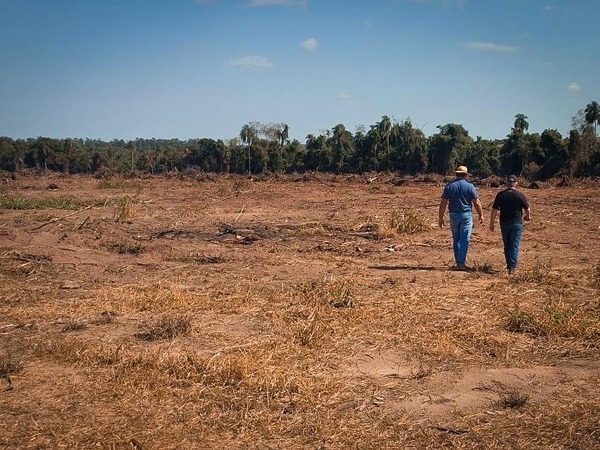 MADES interviene inmueble tras constatar tala indiscriminada en Santa Rita - ADN Digital