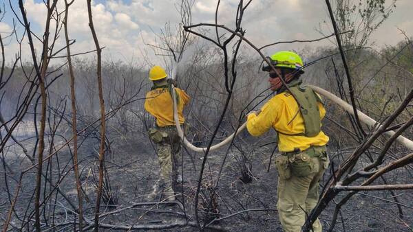 Alertan sobre elevado riesgo de incendios e instan a no quemar