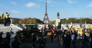 La Nación / La UE adopta salvaguardias para los agricultores