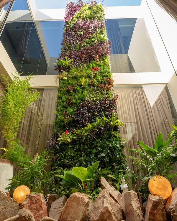 Claves para un jardín perfecto en el clima paraguayo