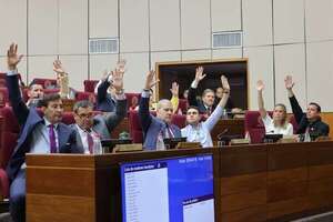 Senado analiza otros cambios al plan de   jubilaciones y posterga su estudio - Economía - ABC Color