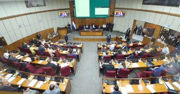 La Nación / El Senado postergó tratar reforma de la Caja Fiscal para el 25 de marzo