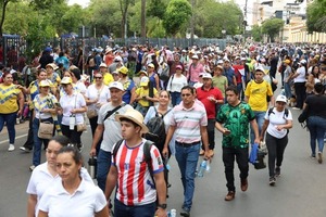 Senado posterga reforma de la Caja Fiscal hasta marzo