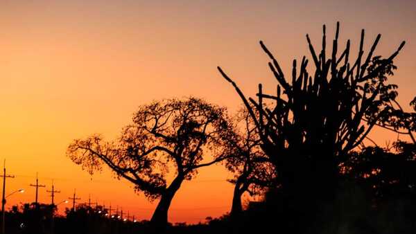 Miércoles muy caluroso, húmedo e inestable con altas temperaturas