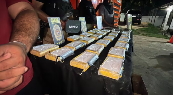 NARCOTRÁFICO INTERNACIONAL: CAE BANDA CAMUFLADA EN CARGAS DE MAÍZ