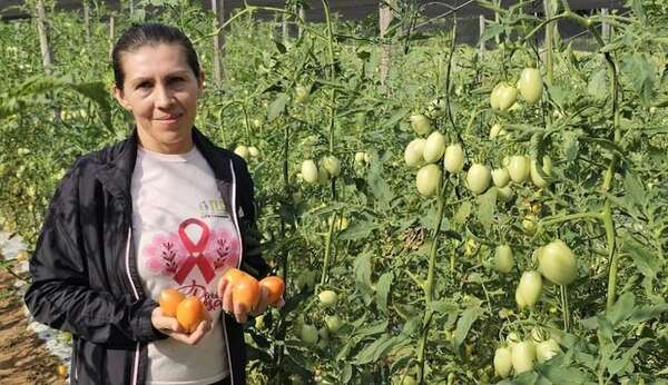 Tomate a precio de finca: la feria que desafía los costos de supermercados este jueves - Nacionales - ABC Color