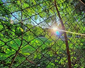 Persistirá el calor intenso en el Este del país - ABC en el Este - ABC Color