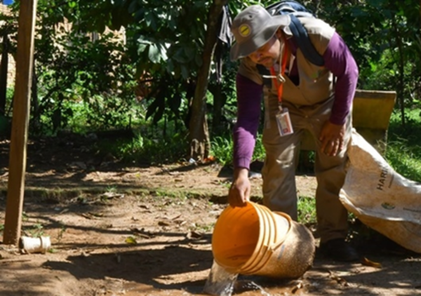 PAI reporta caso importado de chikungunya y llama a prevenir el dengue