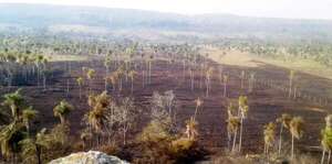 Ante riesgos de incendios, Infona renueva prohibición de quema en todo el país - Nacionales - ABC Color