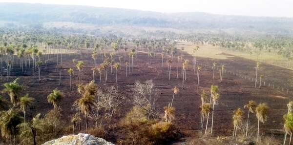 Ante riesgos de incendios, Infona renueva prohibición de quema en todo el país - Nacionales - ABC Color