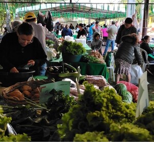 En el 2025 recaudación de Ferias de la Agricultura Familiar superó los G. 114 mil millones