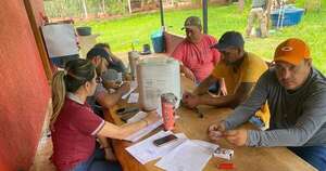Diario HOY | Cae banda criminal dedicada a la producción de marihuana en Amambay