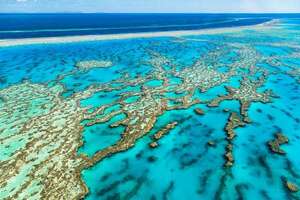 El 50% de los corales se blanqueó en tres años por olas de calor y la crisis continúa - Ciencia - ABC Color