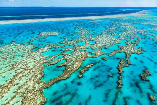 El 50% de los corales se blanqueó en tres años por olas de calor y la crisis continúa - Ciencia - ABC Color