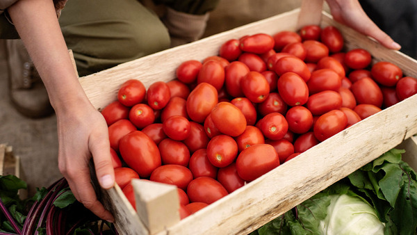 Altos precios del tomate: comerciantes se alinean con supermercadistas y piden importación - ADN Digital