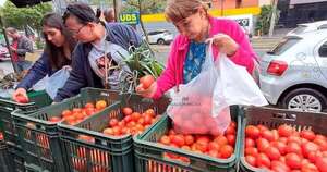 La Nación / Tomates: plan nacional busca fortalecer producción local y estabilizar precios, según MAG
