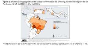 Diario HOY | Emiten alerta por chikunguña: en Asunción hay casos importados de Bolivia