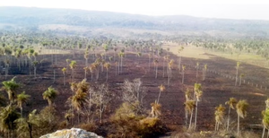 Infona prohíbe el uso de fuego en todo el país por incendios - Noticiero Paraguay