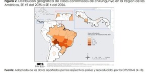 Salud confirma dos casos importados de chikungunya y refuerza alerta preventiva - ADN Digital