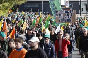 UE-Mercosur: Eurocámara aprueba salvaguardias para el sector agrícola - ADN Digital