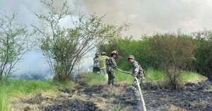 Diario HOY | Gran parte de los últimos incendios forestales fueron provocados, confirman