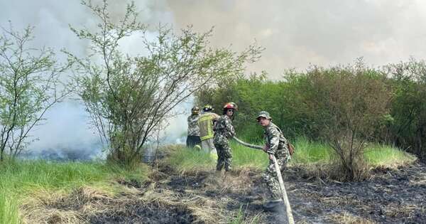 Diario HOY | Gran parte de los últimos incendios forestales fueron provocados, confirman
