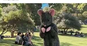 La Nación / Lluvia de memes con la llegada de la moda de los therians a Paraguay