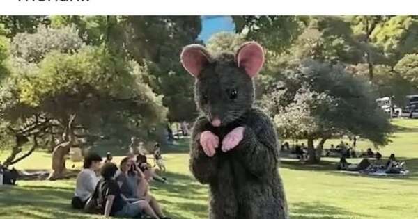 La Nación / Lluvia de memes con la llegada de la moda de los therians a Paraguay