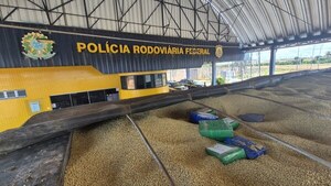 Brasil: Camionero paraguayo fue detenido con 3,3 toneladas de marihuana en carga de trigo