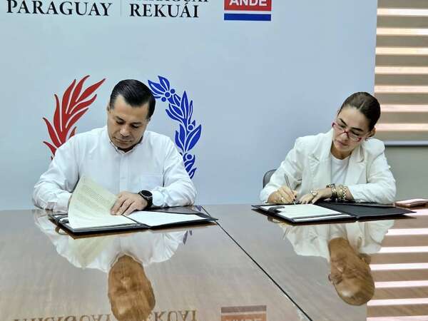 ANDE busca llegar a un 5% de inclusión en su plantel de funcionarios para el 2026 - Economía - ABC Color