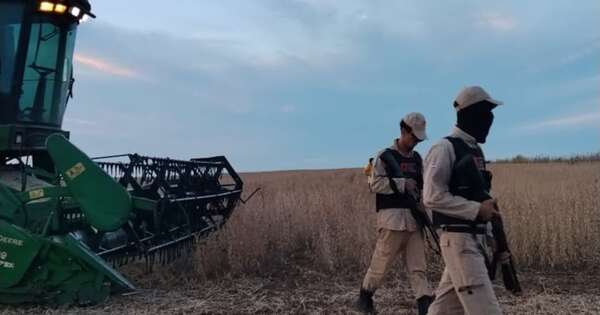 La Nación / Productora denuncia hostigamiento en su finca de Caaguazú y supuesto robo de cosecha de soja