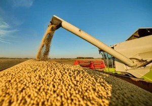 Fecoprod reclama claridad y equilibrio en la comercialización de la soja