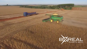 Fortalecen protección de suelo y agua: productores restauran nacientes | Unicanal