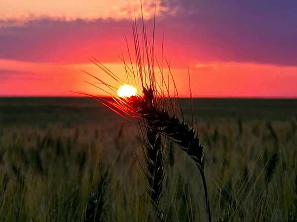 Calor: meteorología revela dónde se registró la temperatura máxima ayer - Nacionales - ABC Color