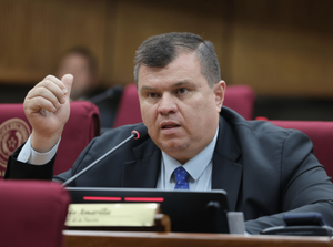 Amarilla: "No reformar la Caja Fiscal agrava el problema"