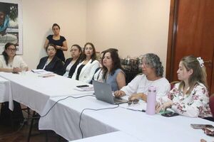 Secretaría de Género realizó tercer taller sobre análisis y selección de indicadores del MESECVI