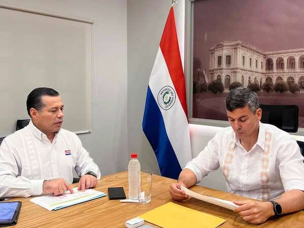 ANDE: anunciadas licitaciones por leasing operativo tienen problemas - Economía - ABC Color