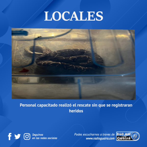 CALOR EXTREMO INCREMENTA PRESENCIA DE SERPIENTES EN VILLARRICA