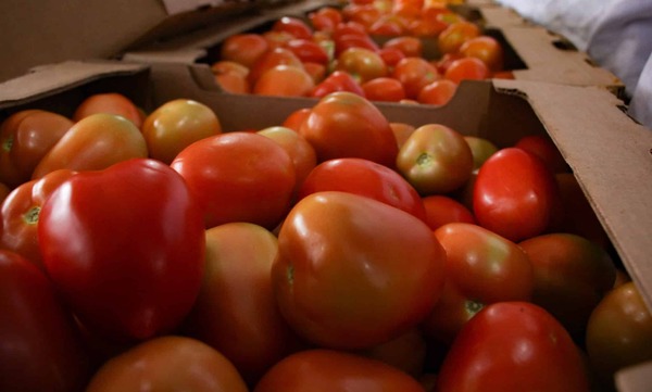 Supermercadistas piden importar para bajar los precios del tomate
