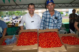 MAG asegura stock de tomate y rechaza importar