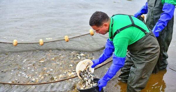 La piscicultura se consolida como motor de empleo y nutrición 