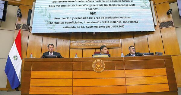 MAG defiende su plan 2026 para impulsar producción nacional