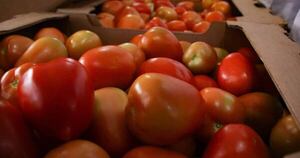 Supermercadistas exigen liberación de importación ante suba del tomate